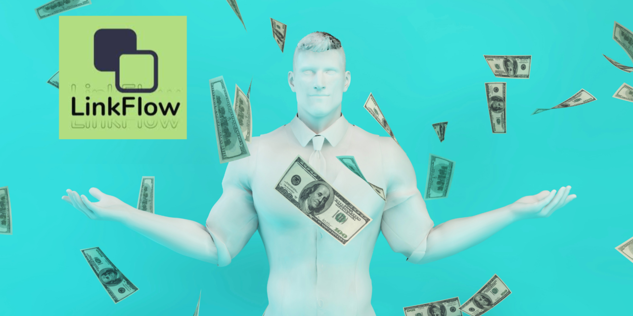 ¡CAYÓ LINK FLOW! ¿CYBER ESTAFADORES HUYERON CON TODO EL DINERO?