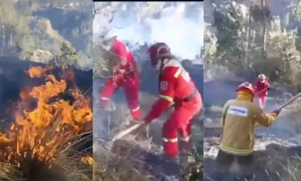 Alarma en Cusco: Incendio forestal devasta el sector Fortaleza