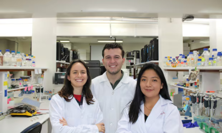 Innovadores estudiantes revolucionan la agricultura con proyecto de conservación del suelo para mejorar cultivos